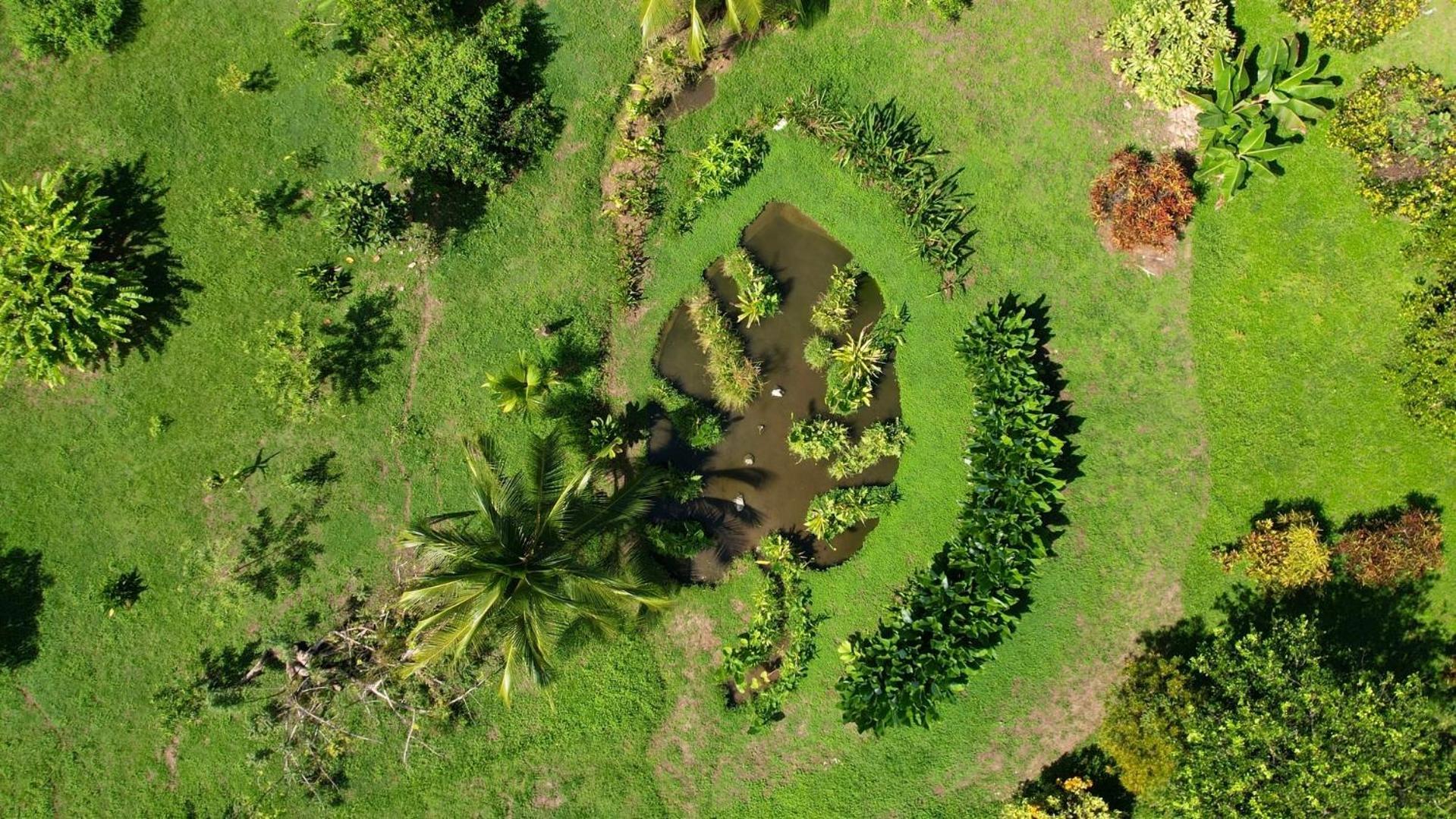 Eden Corcovado Villa San Pedrillo Luaran gambar