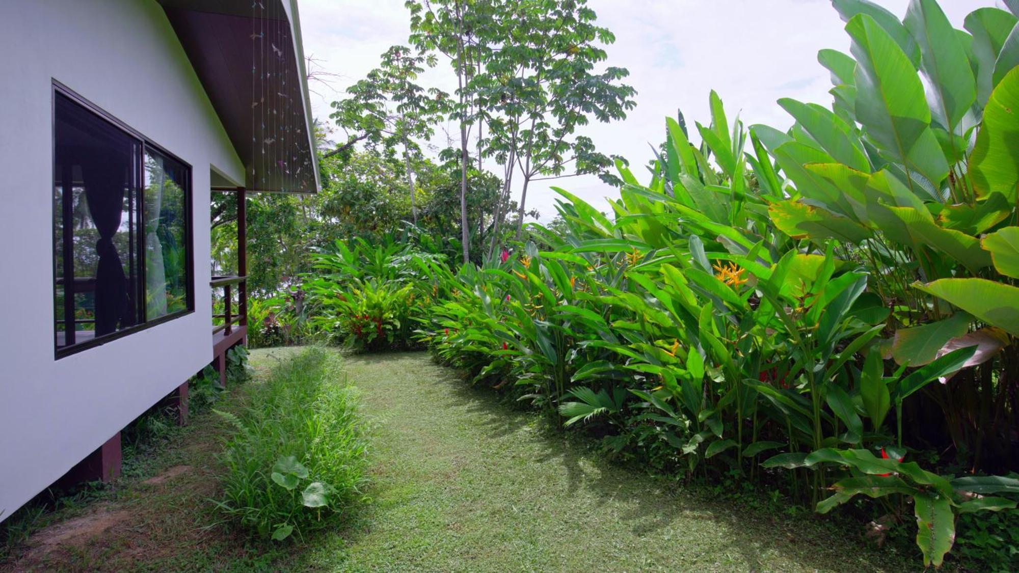 Eden Corcovado Villa San Pedrillo Luaran gambar